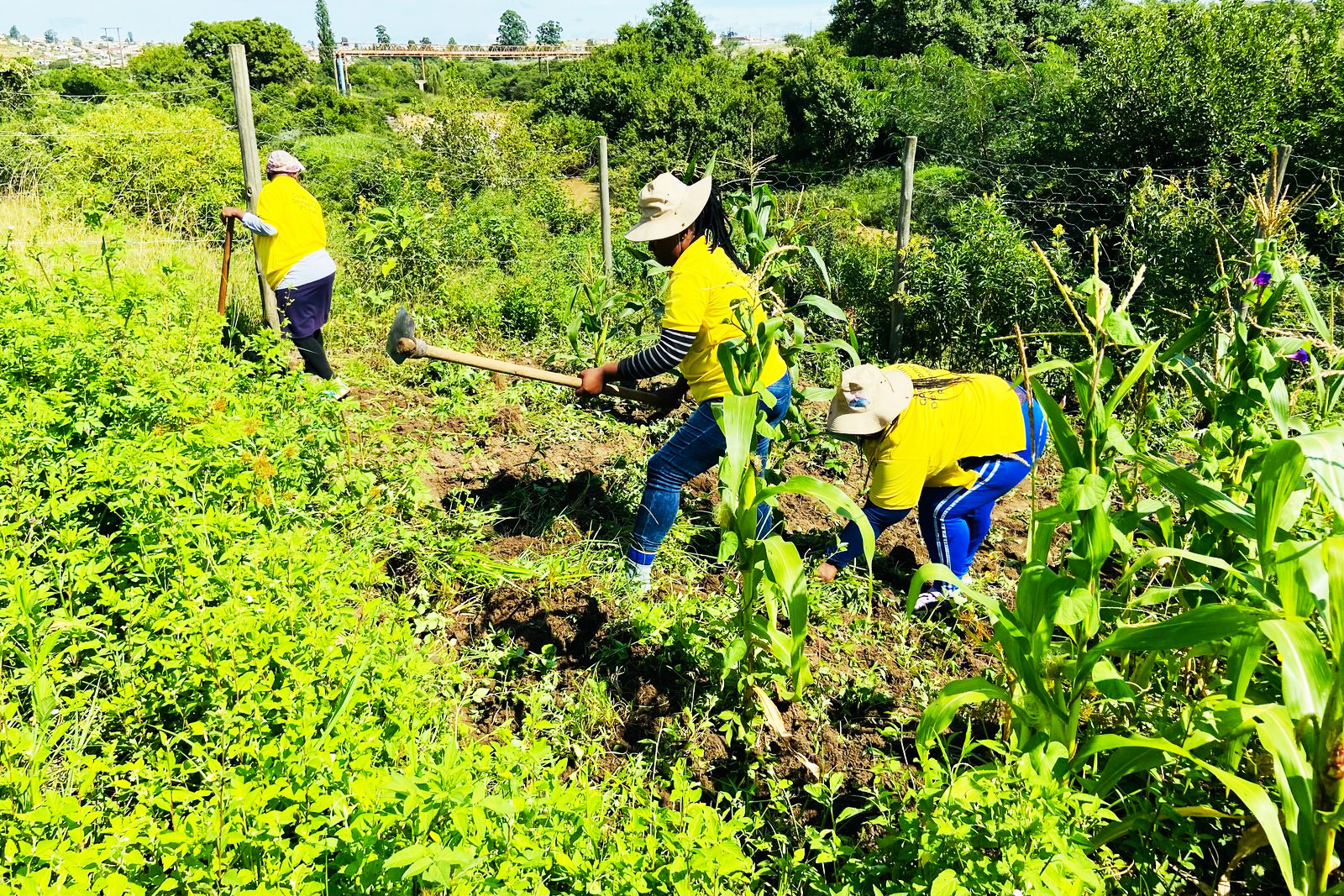 Adapting with Strength: Rural Women Leading Climate Action and the Fight Against Poverty
